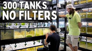 300 Aquariums with NO FILTERS  In Depth Tour [upl. by Gawlas716]