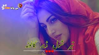 Saida gul wafa new song 2023Ter Shwal Der Kalonapashto new song [upl. by Claus]