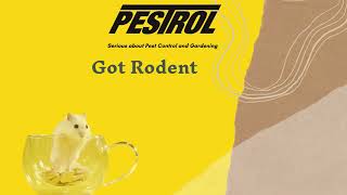 Pestrol Rodent Control Solutions [upl. by Kial415]