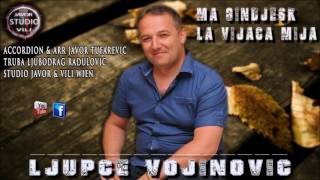 Ljupce Vojinovic MA GINDJESK LA VIJACA MIJA NOVO 2017 [upl. by Dihahs]