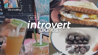 introvert diary ep 1 ʚɞ ⁺˖  weekend vlog slow editing amp studying sesh [upl. by Noswal]