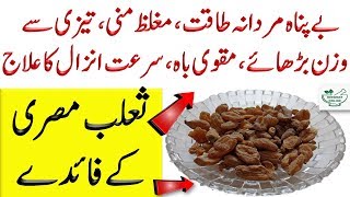 Nutrition Value Of Salab Misri  Salam Mishri Powder Benefits In Urdu Hind [upl. by Gough]