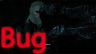 The Witcher 3 Cutscene BUG [upl. by Nerti820]