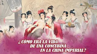 ¿cómo era la vida de una concubina en la China imperial [upl. by Kong191]