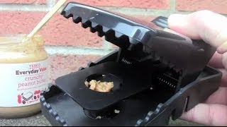 Rat Trap Unboxing and Testing [upl. by Welker616]