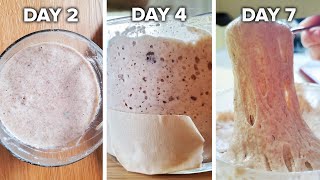 How To Make A Sourdough Starter From Scratch • Tasty [upl. by Ahpla]