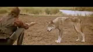 danse avec les loups avec chaussette [upl. by Armil261]