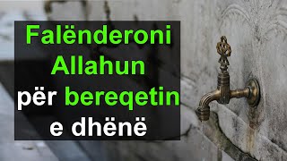 Falenderoni Allahun per bereqetin e dhene [upl. by Hesoj]