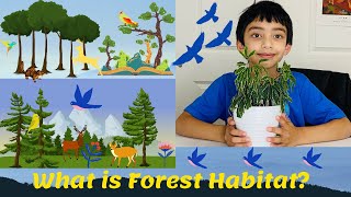 What is Forest Habitat [upl. by Gordy]