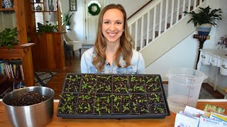 How to start seeds indoors with step by step instructions and demonstrations Northlawn Flower Farm [upl. by Birdt]