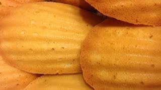 Madeleines French Tea Biscuits [upl. by Port]