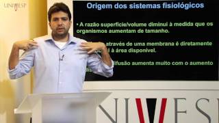 Biologia Geral  Aula 24  Níveis de organização dos seres vivos origem e função dos sist [upl. by Manara432]