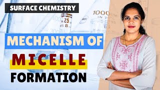 SURFACE CHEMISTRY PART 14 MECHANISM OF MICELLE FORMATION NCERT CLASS 12  FOR GRADUATES  LIGHT UP [upl. by Adelbert]