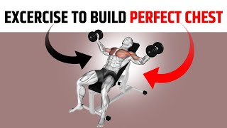 Excercise To Build Perfect Chest [upl. by Onitnevuj]