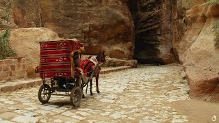 Petra And The Lost Kingdom Of The Nabataeans  Documentary [upl. by Nesto226]