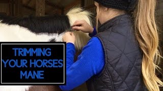 How to Trim Your Horses Mane [upl. by Leandra]