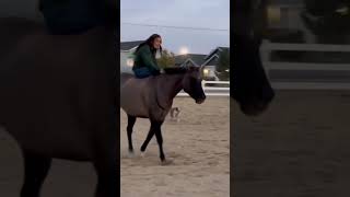 Shoeless tackless side saddle shenanigans with Scarlett 😂fyp [upl. by Territus]