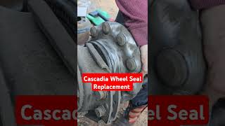 Freightliner Cascadia Wheel Seal Replacement diesel truck automobile engineering tools short [upl. by Genaro953]