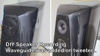 Audiotechnologyscanspeak DIY speakers  waveguide applied on tweeter [upl. by Jacki]