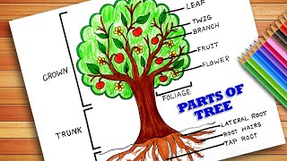 Parts of Trees Drawing  How to draw and label a tree tutorial  Parts Of Tree Poster  Forest Day [upl. by Ardnal]