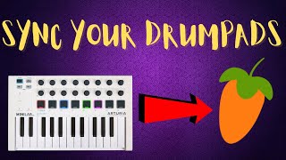 HOW TO PROPERLY CONNECT YOUR MINILAB MK2 IN FL STUDIO  NO FPC [upl. by Arnelle643]