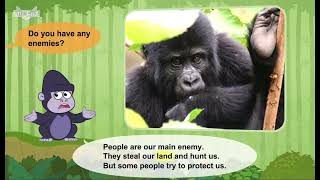 Meet the animals season 1 episode 2 mountain gorilla [upl. by Ezechiel]