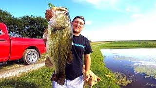 Catching GIANT Bass on Topwater Frogs [upl. by Noonberg729]