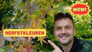 Herfstkleuren hoe dan [upl. by Akcimat]