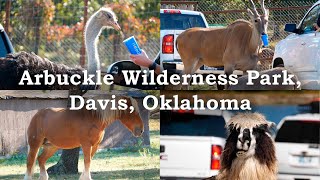 Arbuckle wilderness Park Davis Oklahoma  Safari Park 4k [upl. by Dnomal]