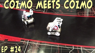 Cozmo Meets Another Cozmo  Episode 24  cozmoments [upl. by Cordelia]