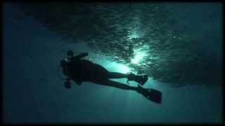 Scuba diving in Sipadan Sabah Borneo Malaysia Celebes Sea hd 2012 Part I [upl. by Daahsar]