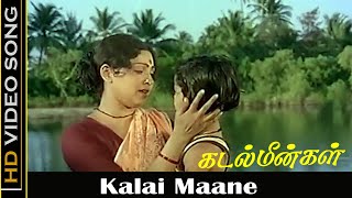 Kalai Maane Song  Kadal Meengal Movie  Kamal Haasan Sujatha  P Susheela Hits  Old Songs  HD [upl. by Inaflahk617]