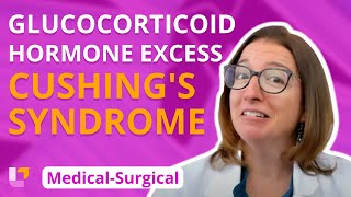 Glucocorticoid Hormone Excess Cushings Syndrome  Medical Surgical  Endocrine  LevelUpRN [upl. by Starlene324]