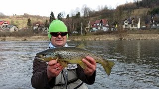 Pstrągi na gumę Spinning  Dunajec Keitech Shad Impact Pstrągi 50 cm [upl. by Yung90]