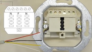 Telefondose anschließen  Telefonanschluss  TAE [upl. by Applegate]