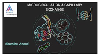 Microcirculation amp capillary exchange circulatorysystem medical mbbs alliedhealth heartfailure [upl. by Trinatte461]