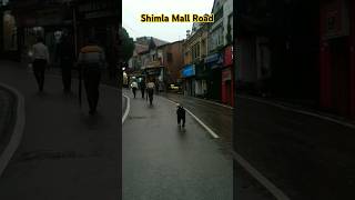 Shimla Mall Road😍shorts shimla shimlamallroad viralshorts [upl. by Jarek521]