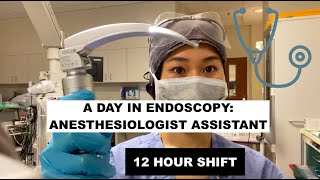 A day as an Anesthesiologist Assistant in EndoscopyGI [upl. by Whit]