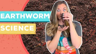 Earthworm Science for Kids  Earthworm Dissection Model [upl. by Yadsnil314]