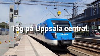 Tåg på Uppsala central  Sommar 2024 [upl. by Hawk582]