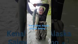 Salmon fishing on the world famous Kenai River Alaska kenai alaska fishing salmon kenairiver [upl. by Pebrook728]