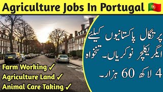 Portugal Agriculture Jobs amp Work Visa  Every Visa  HindiUrdu [upl. by Esinek]