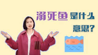 鱼还能被”溺“死？法语俗语中noyer le poisson 溺死鱼是什么意思呢？ [upl. by Av]