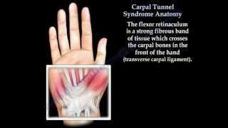 Carpal Tunnel Syndrome anatomy animation  Everything You Need To Know  Dr Nabil Ebraheim [upl. by Creight]