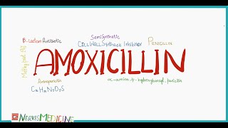 Amoxicillin  mechanism of Action  antibacterial spectrum  indications  Adverse Effects [upl. by Noma]