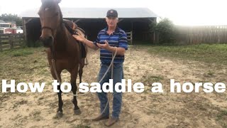 How to Saddle a Horse [upl. by Kenleigh]