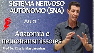 Sistema nervoso autônomo SNA Aula 1 [upl. by Broderic606]