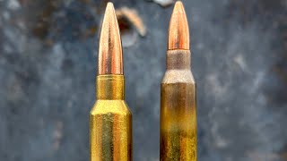 65 Grendel vs 556 Don’t Waste The Money [upl. by Wolfort]