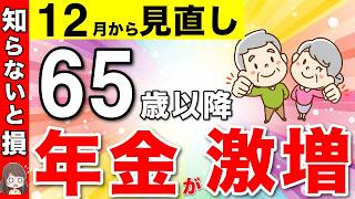 【働く65歳以降必見！】12月から年金が激増する在職定時改定について解説！あなただけの増額早見表！【年金改正経過的加算】 [upl. by Roderick662]