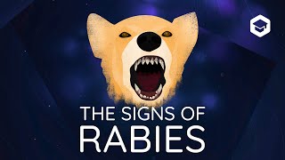 A master of deception  the signs of rabies in dogs [upl. by Sej921]